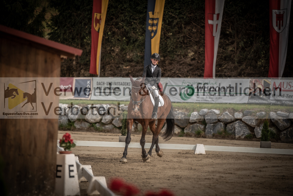 DSC_8275 | equestrian-live-com