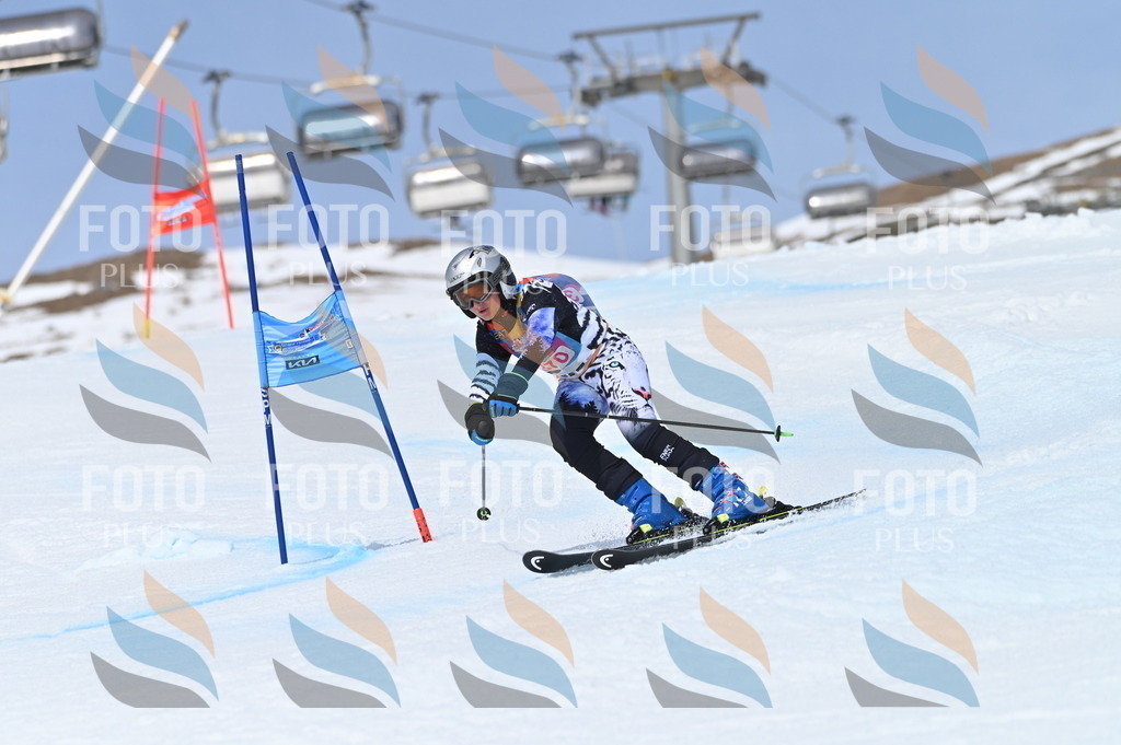 BGV_4039 | holidayphoto