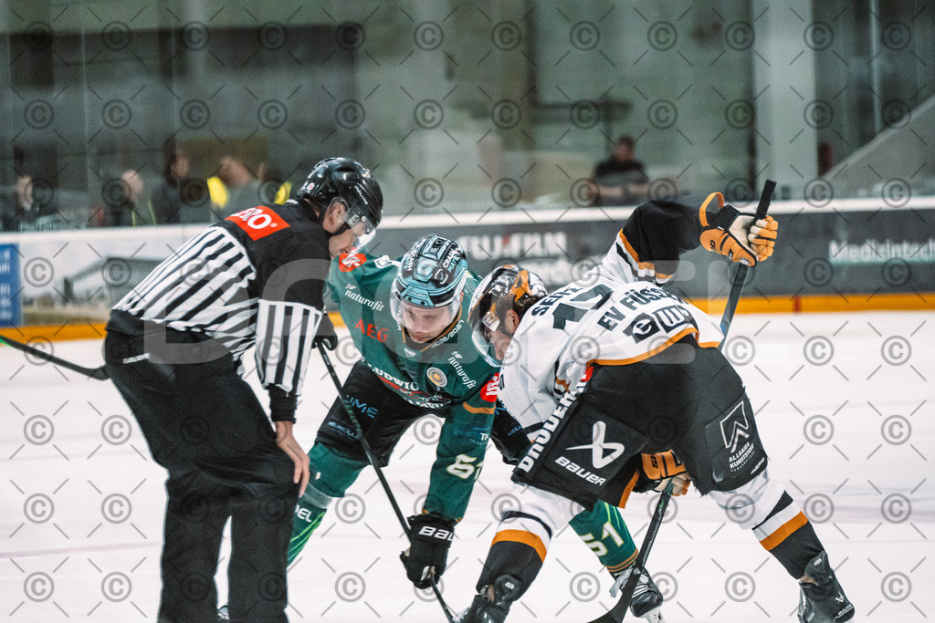 Alligators_vs_Fuessen_27_09_2026-16 | Die Fotogalerie von Daddel: professionelle Bilder von Sport, Events und Unternehmen aus Franken. Jetzt Galerien durchstöbern und Lieblingsfotos bestellen. - Realisiert mit Pictrs.com
