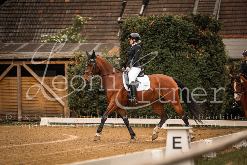 DoDrE00010 | Leoni Ertmer Photography - Realisiert mit Pictrs.com