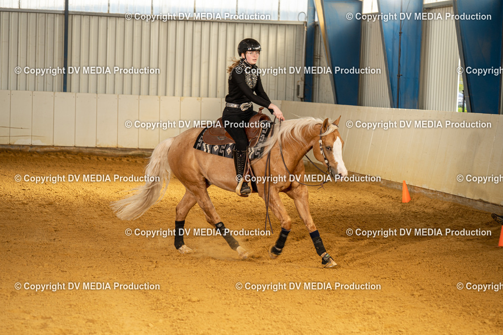 MIT00847 | dv-media-shop - Realisiert mit Pictrs.com