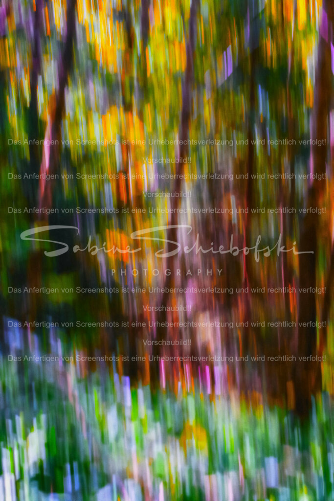 22-06-292022_06-NEU_5002_Variante_mehr_Saettigung | People- und Tierfotografie, Imageaufnahmen, Veranstaltungsfotografie und Wandbilder aus der Natur ★ Made in Germany ✔️ Druck + Downloads ✔️ Naturfotografie in Top Qualität ★ schneller Versand, weltweite Lieferung! - Realisiert mit Pictrs.com