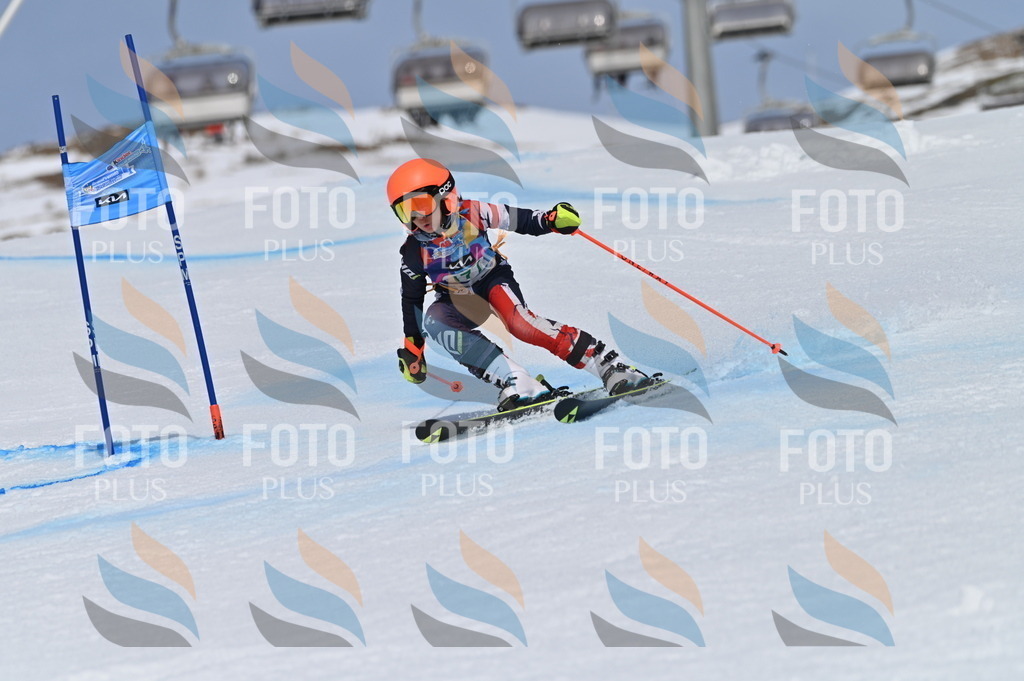 BGV_3490 | holidayphoto