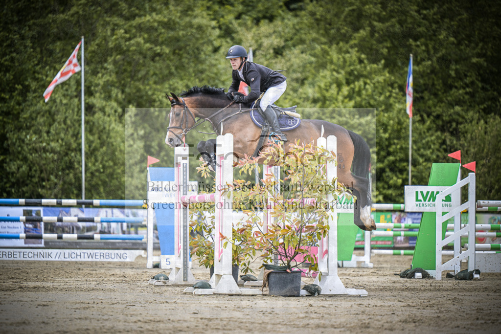 DOS_5179 | Entdecke hochwertige Reitturnierfotos von Foto Oger. Professionell, emotional und authentisch – jetzt Lieblingsmomente im Shop bestellen.Deutschlandweite Turnierfotografie. - Realisiert mit Pictrs.com