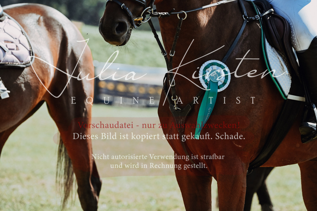 DSC_6217 | Pferde- und Turnierfotografie in Westsachsen. Pferdeportraits, Auftragszeichnungen und intuitive Kunst.