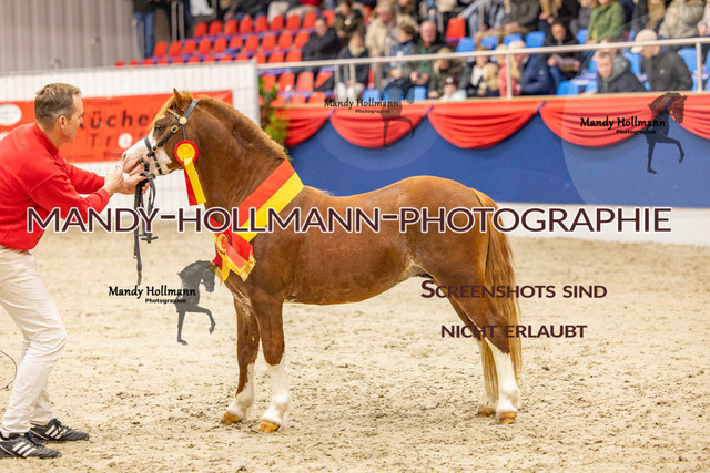KWESR (79 von 688) | mandyhollmannphotographie