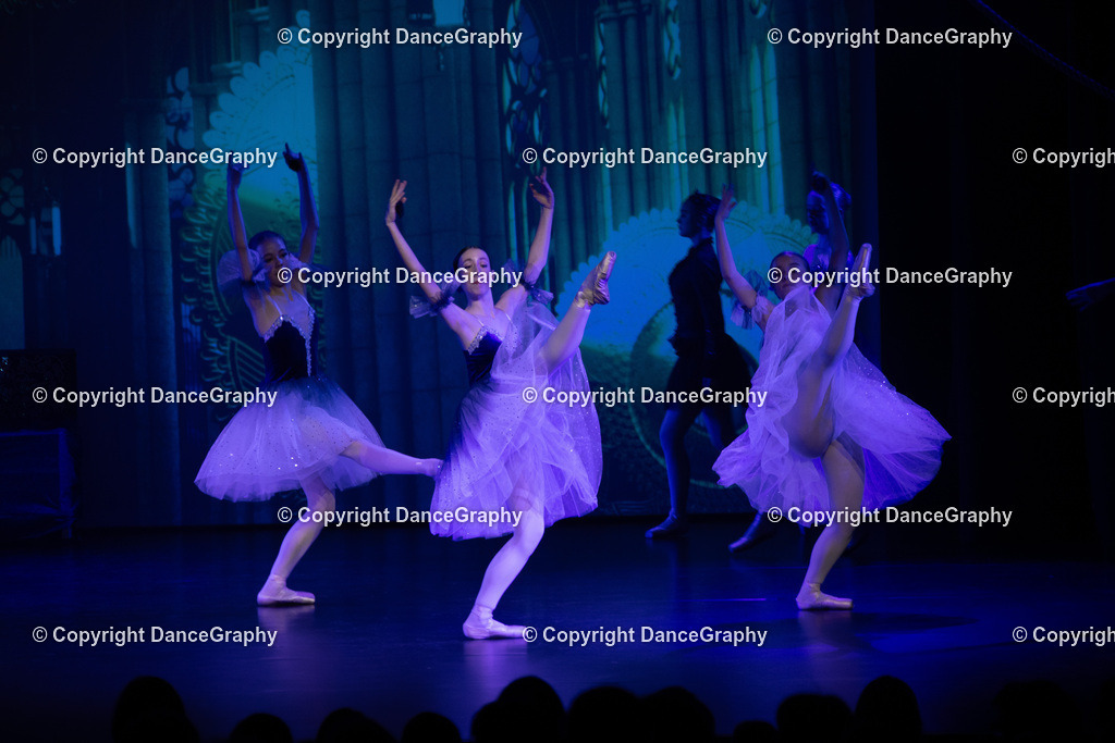 GPHY1552 | DanceGraphy - Realisiert mit Pictrs.com