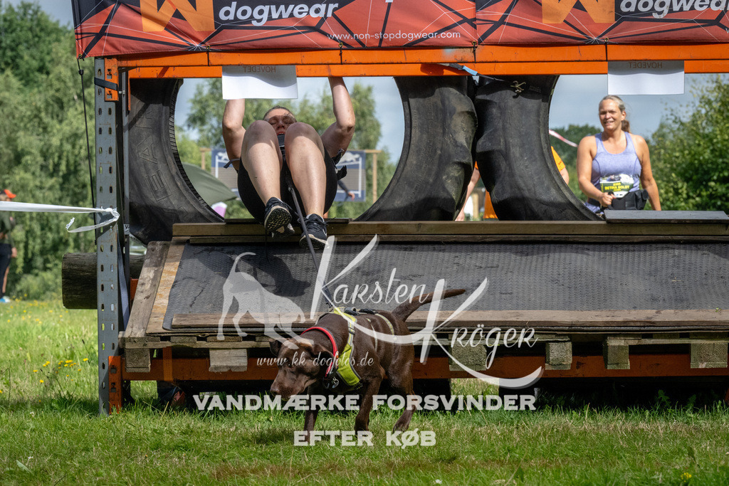 1136_ZZ92693 | kk-dogfotos