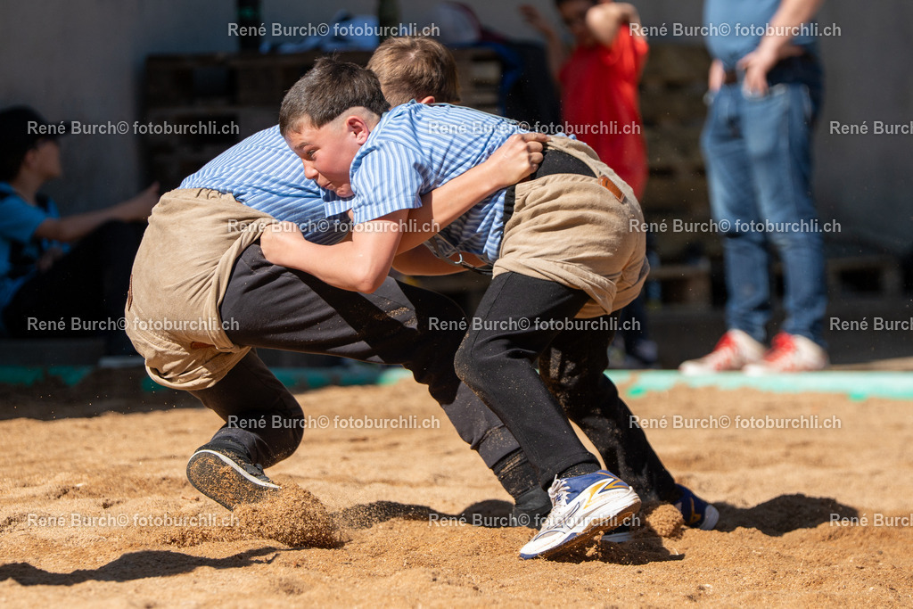 RB_06909 | René Burch leidenschaftlicher Fotograf aus Kerns in Obwalden.  Hier finden sie Sport, Landschaft und Natur Fotografie.
 - Realisiert mit Pictrs.com