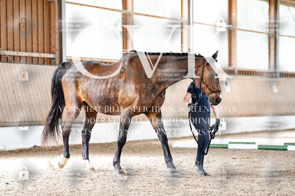 CK905749 | Turnierfotografie Pferdefotografie Trier Rheinland-Pfalz Pferdesport Reitsport Tierfotografie Sportfotografie Pferdevideo Pferdevideografie Equestrianvideography equestrianphotography  - Realisiert mit Pictrs.com