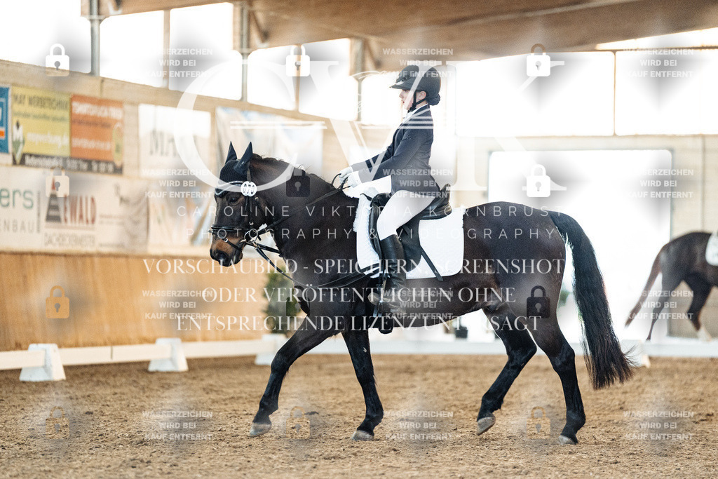 CK906778 | Turnierfotografie Pferdefotografie Trier Rheinland-Pfalz Pferdesport Reitsport Tierfotografie Sportfotografie Pferdevideo Pferdevideografie Equestrianvideography equestrianphotography  - Realisiert mit Pictrs.com