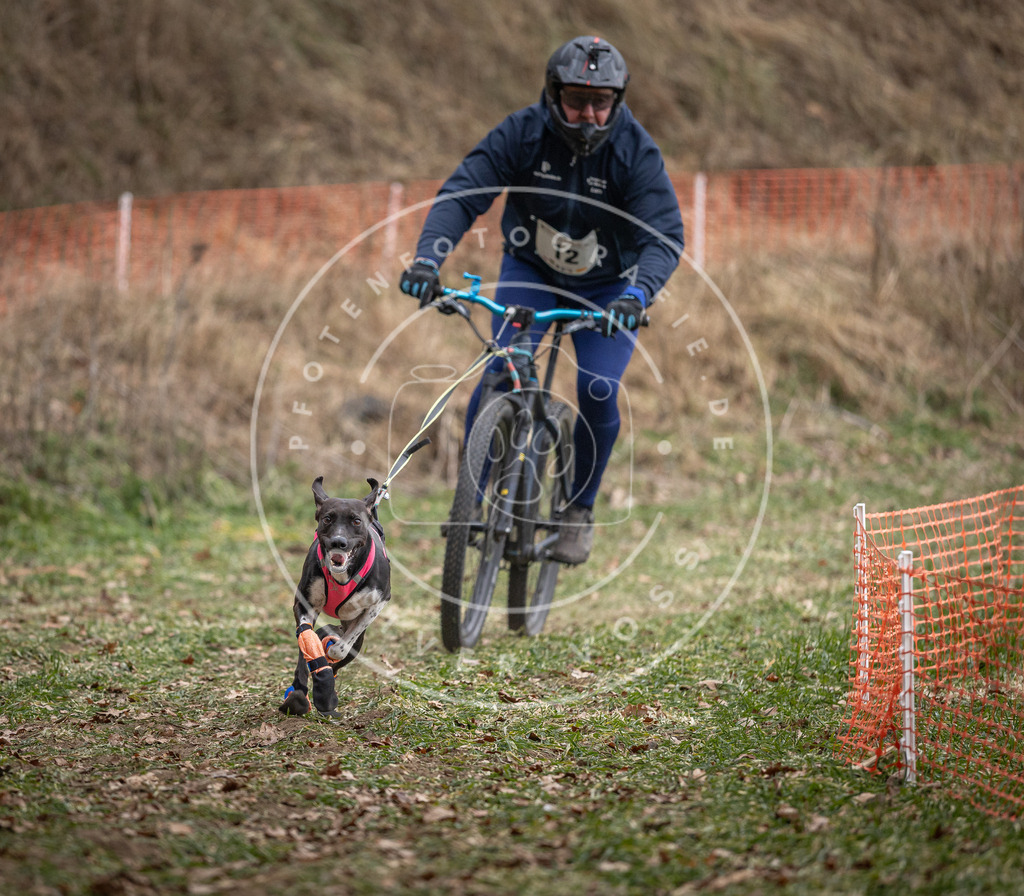 Pfotenfotografie_DV3A6339 | Hundefotografie, Tierfotograf, Pfotenfotografie, Fotoshooting Hund, Hunde Portrait, Hundesport, Hundeportraits, Heideshooting, Hunde, Sportfotograf, Hundefotograf, Turnierhundsport, THS,  - Realisiert mit Pictrs.com