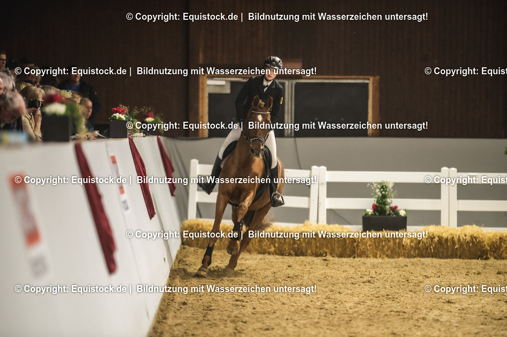 20240302_Hengstvorstellung_Marbach_TOMsPiC_1338 | equistock
