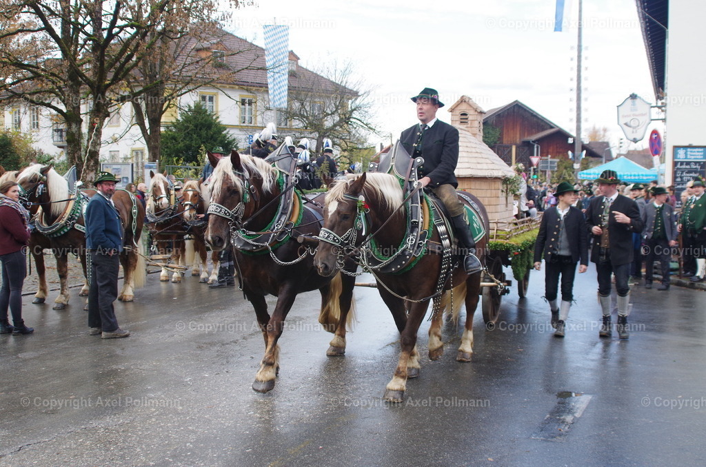 IMGP0540 | fotografiert von Axel PollmannLeonhardi Wallfahrt Benediktbeuern und Murnau, Fronleichnam, Fasching, Landschaft im Loisachtal und Benediktbeuern  - Realisiert mit Pictrs.com