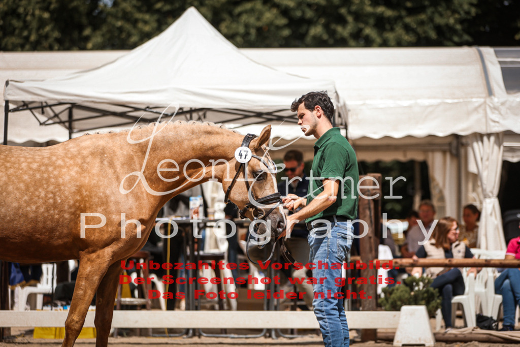 8.So00096 | Leoni Ertmer Photography - Realisiert mit Pictrs.com