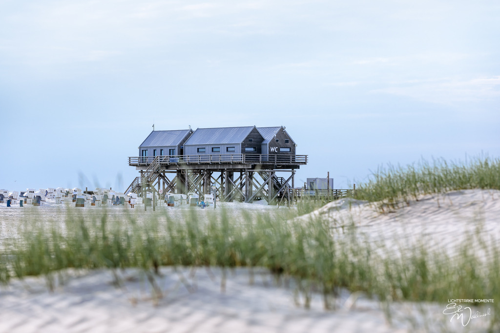 20230620-194238 NORDSEE SPO _025-1 | Herzlich willkommen auf meiner Seite! Ich bin Elke Wallnisch, Deine Fotografin für lichtstarke Momente. Der Name steht für alles, was mich mit der Fotografie verbindet: Das Licht und seine machtvolle Wirkung auf eine Situation oder unsere Stimmung - Realisiert mit Pictrs.com