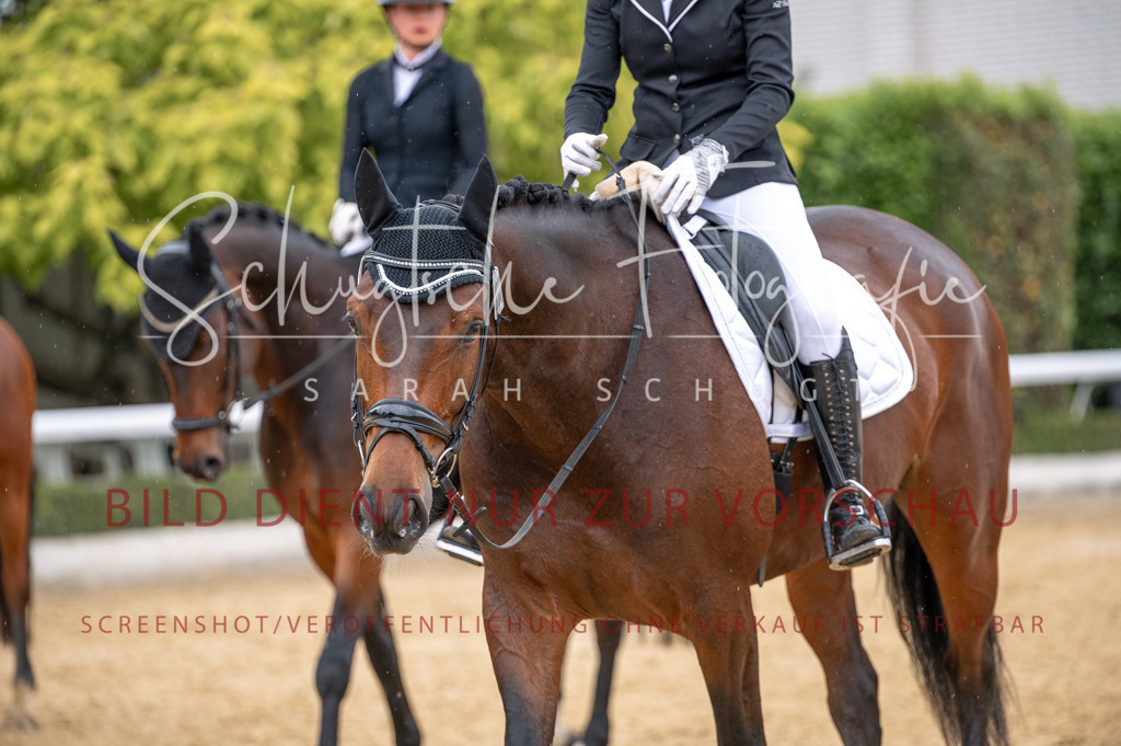 Schugtsche-Aluta25-41.Amat-Dressurprf.A_-366 | Schugtsche Fotografie - Realisiert mit Pictrs.com