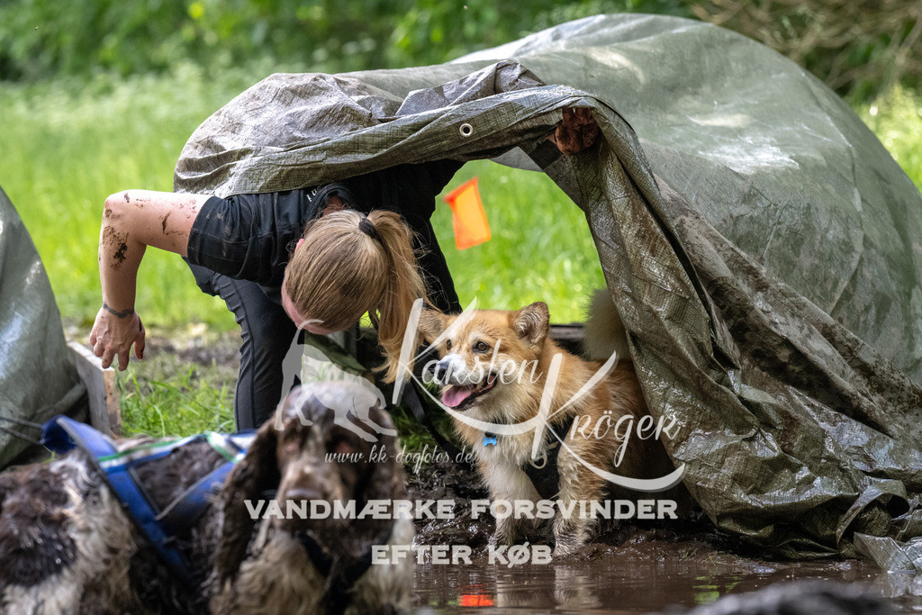 1240_ZZ92983 | kk-dogfotos