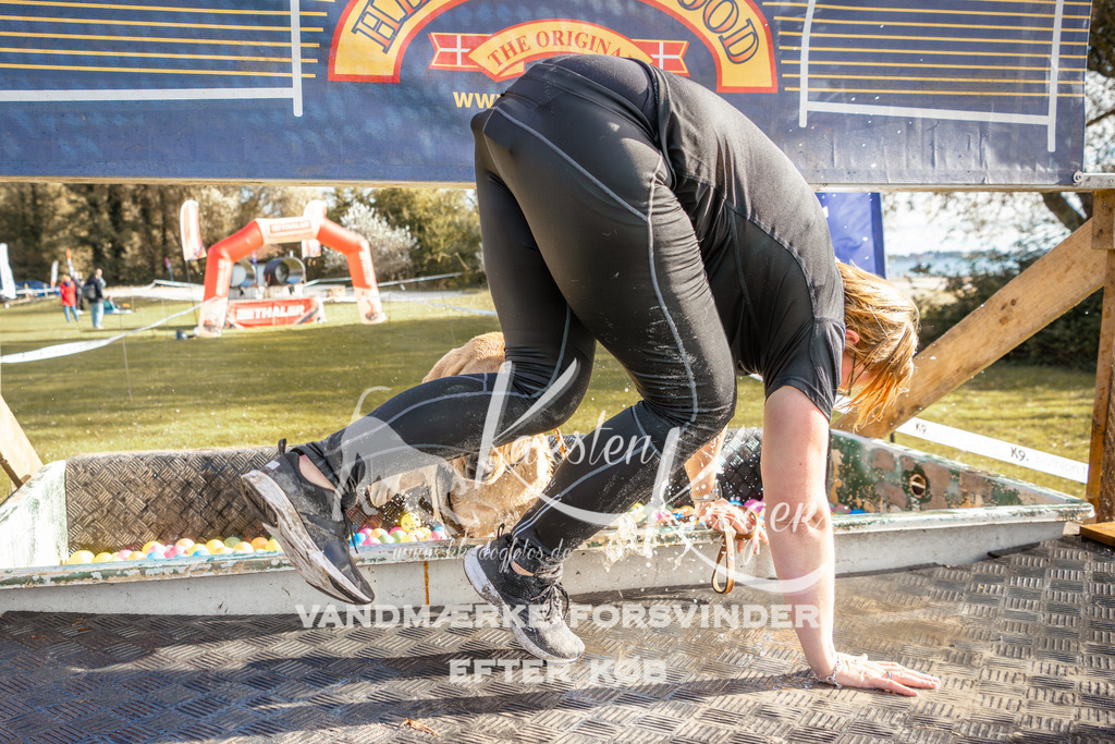 1458_ZZ95449-2 | kk-dogfotos