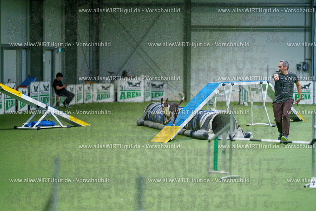 @allesWIRTHgut_Tierfotografie - www.allesWIRTHgut.de - 2604250837-7R507182 | Professionelle Tierfotografie in Mönchengladbach von Daniel Wirth (allesWIRTHgut). Liebevolle & natürliche Bilder von Hunden & Katzen für unvergessliche Erinnerungen.