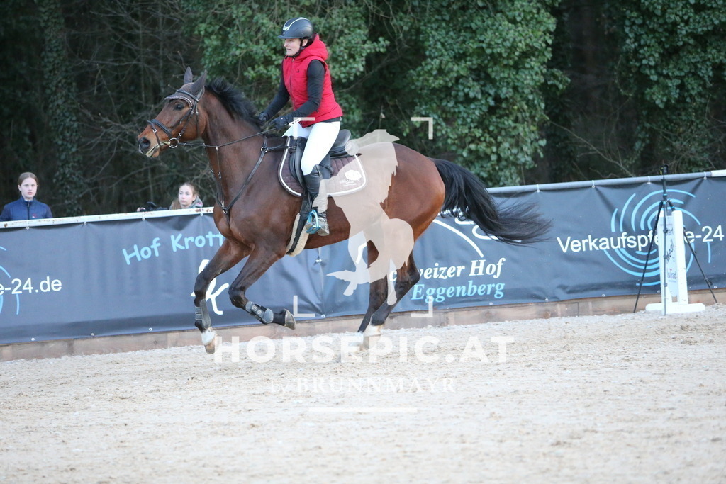 DL2Q4898 | Willkommen bei Brunnmayr - Design & Fotografie – Ihrem Spezialisten für Reitturniere und Pferdeveranstaltungen in Oberösterreich, Salzburg und Bayern! Seit über 17 Jahren sind wir leidenschaftlich dabei.