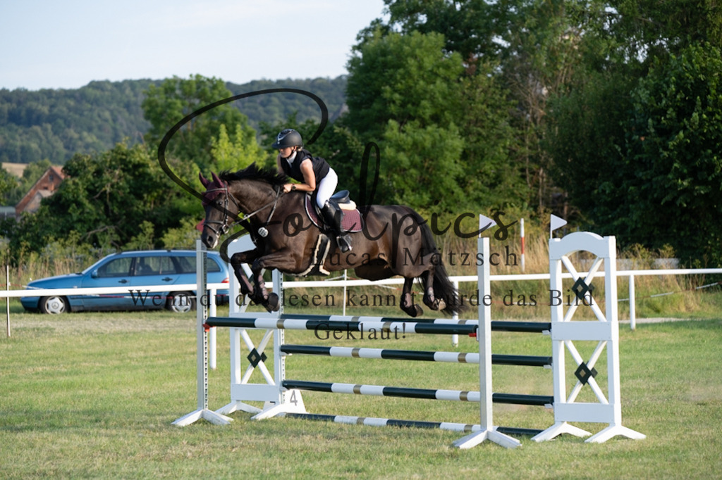 A7V01042 | Pferdefotograf