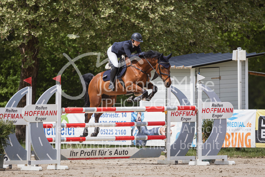 250504_SpengeW_M2-Spr-426 | Deine schönsten Turniermomente als professionelle Fotos! Entdecke hochwertige Pferdesport-Fotografie im Online-Shop. Jetzt Fotos finden & bestellen!