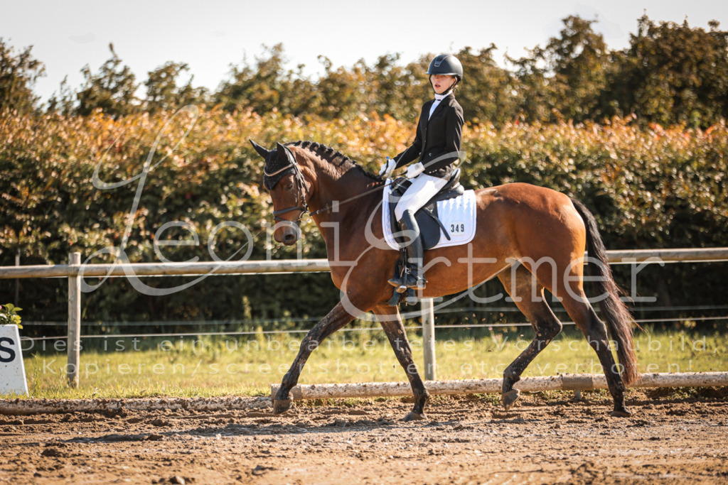 07.SoDrE00150 | Leoni Ertmer Photography - Realisiert mit Pictrs.com