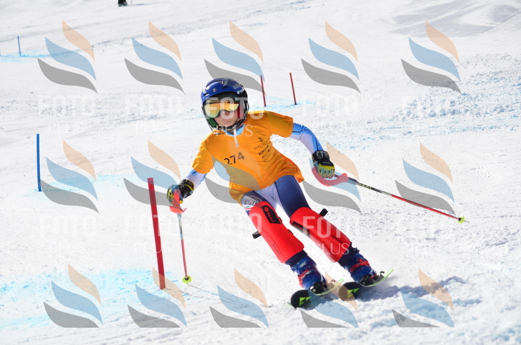 C8610 | holidayphoto