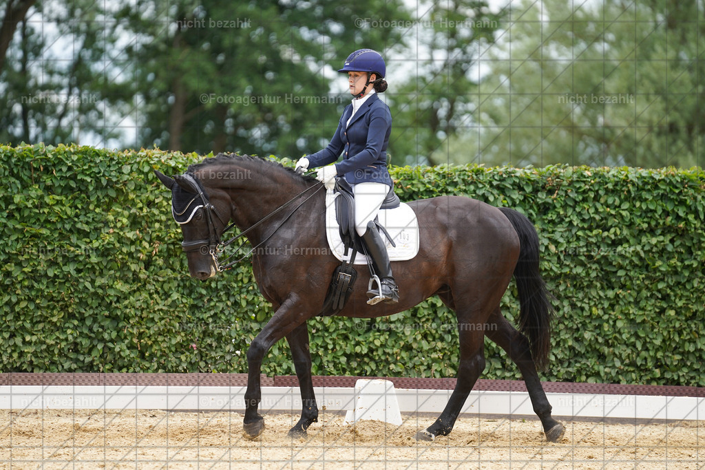 20240630-FAH02117 | Turnierbilder Schwabmünchen, Dressurbilder, Springreitturnier, Reitsportbilder, Turnierfotografen Bayern, Turnierfotograf