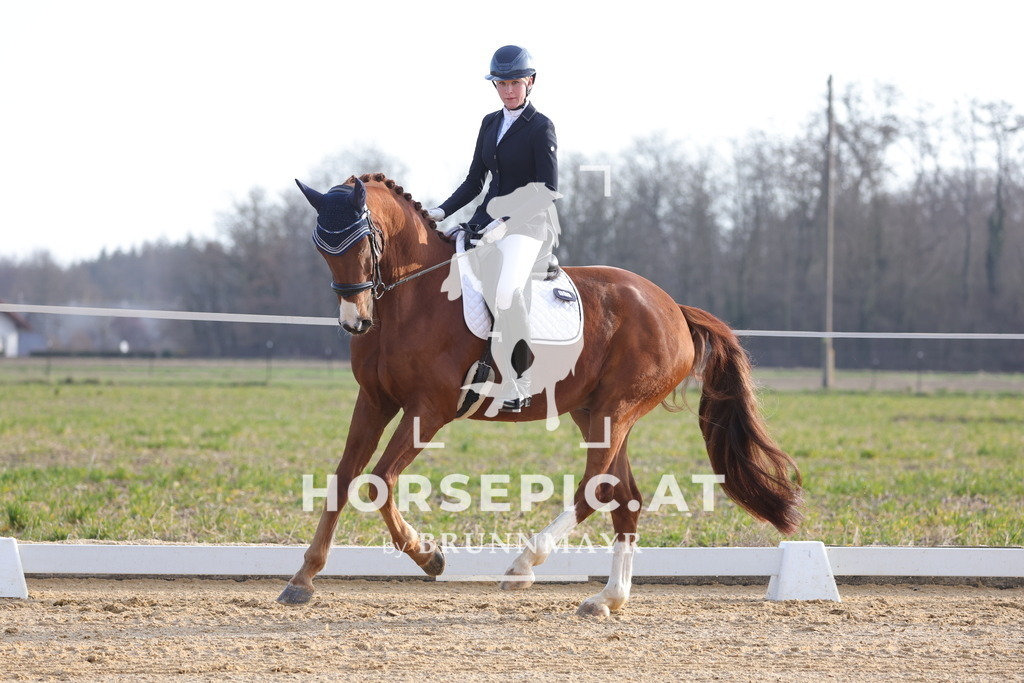 0P6A5941 | Willkommen bei Brunnmayr - Design & Fotografie – Ihrem Spezialisten für Reitturniere und Pferdeveranstaltungen in Oberösterreich, Salzburg und Bayern! Seit über 17 Jahren sind wir leidenschaftlich dabei.