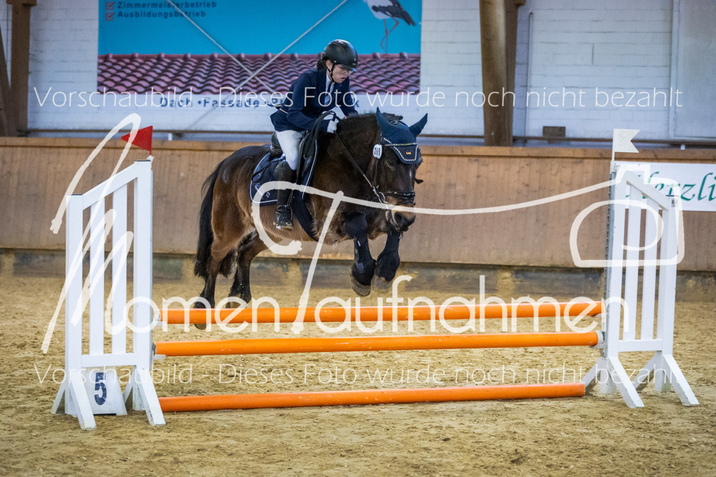 Sth-WBO25-Spr65cm-079 | MomenTaufnahmen Pferdesportfotos