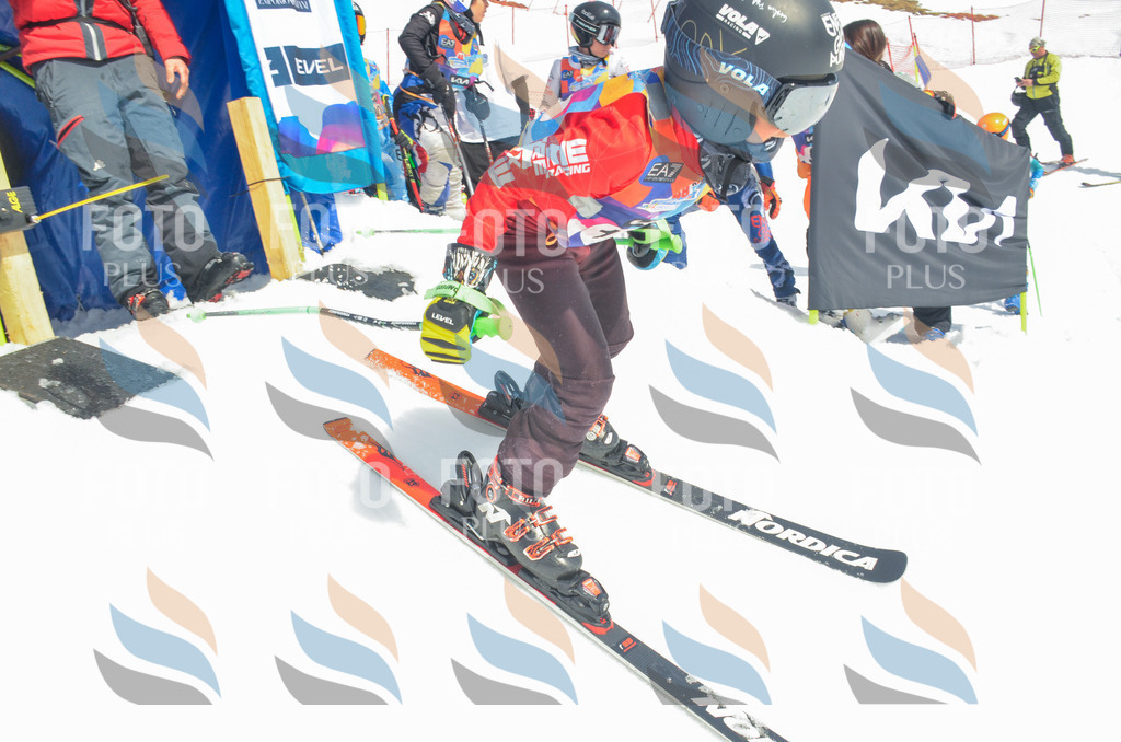 _ELE6630 | holidayphoto