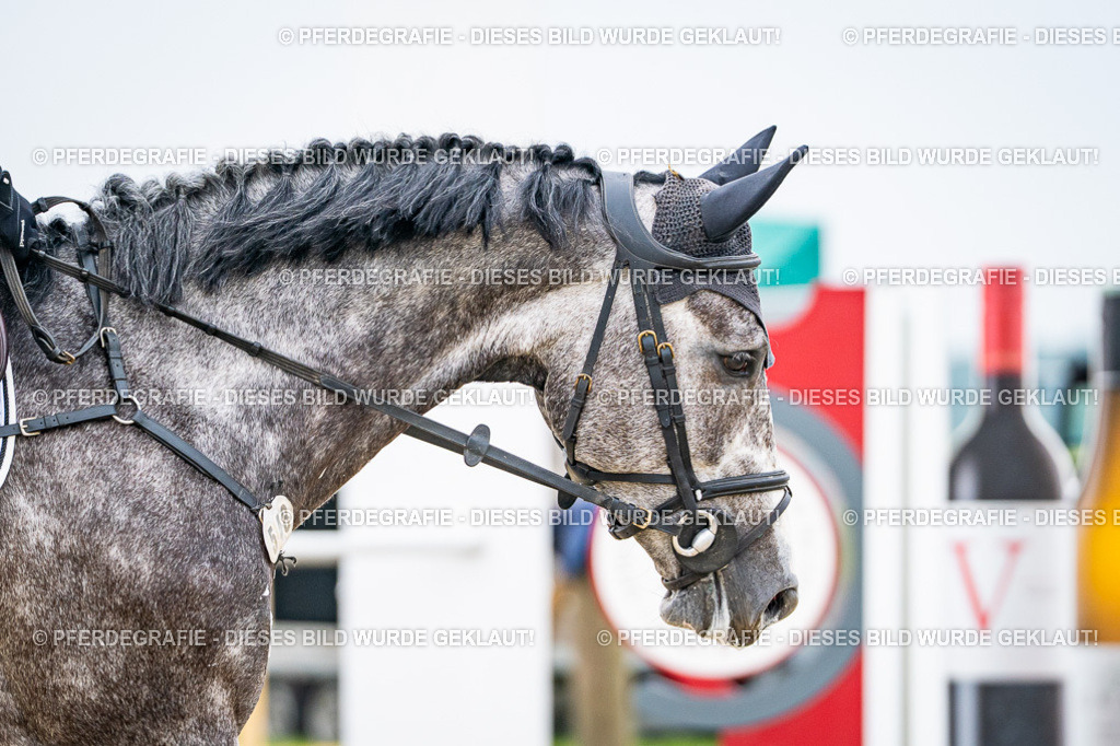 DSC00244 | Pferdegrafie