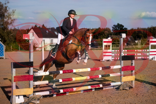 2026_10_03_Siefer-Hof_171707_Z81_14739097 | Professionelle Reitsport-, Turnier- und Eventfotografie von Robert Broda. Galerien mit ausgewählten und bearbeiteten Bildern direkt online ansehen und bestellen.
