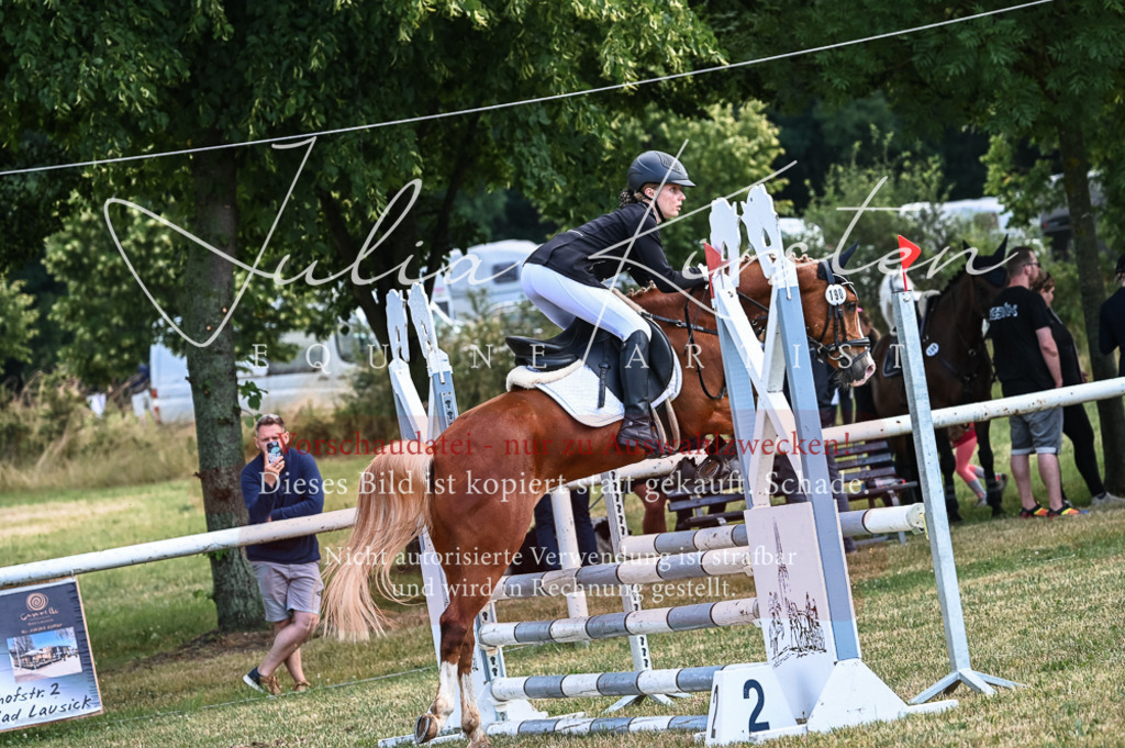 DSC_8082 | Pferde- und Turnierfotografie in Westsachsen. Pferdeportraits, Auftragszeichnungen und intuitive Kunst.