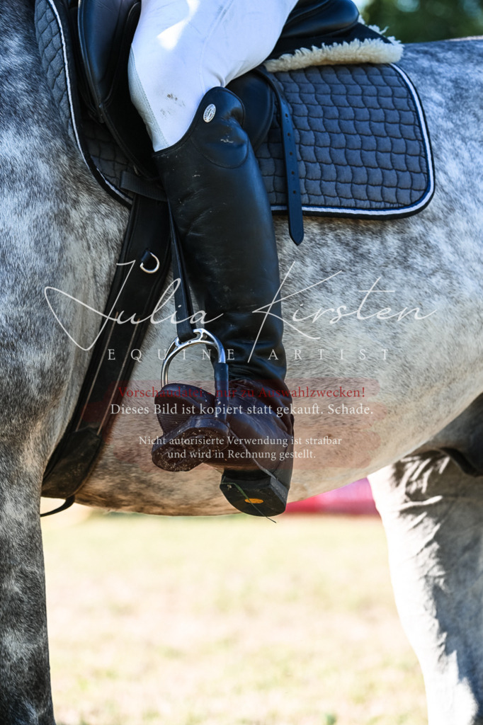 DSC_3144 | Pferde- und Turnierfotografie in Westsachsen. Pferdeportraits, Auftragszeichnungen und intuitive Kunst.