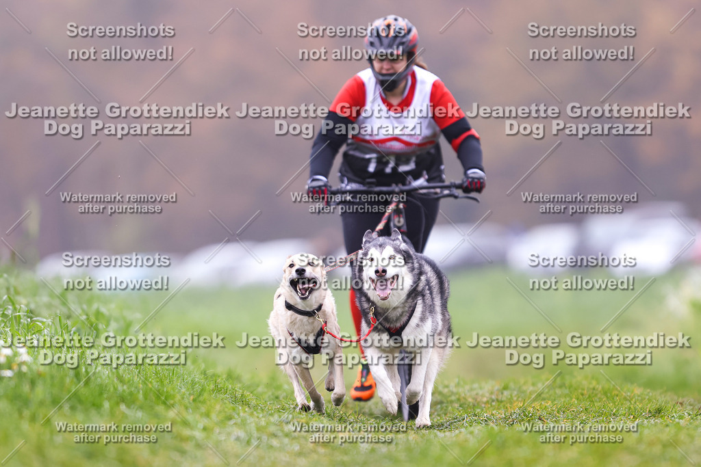 Dog Paparazzi - Visbeck 25 -122 | Dog Paparazzi Jeanette Grottendiek Fotografie & Videografie - Realisiert mit Pictrs.com