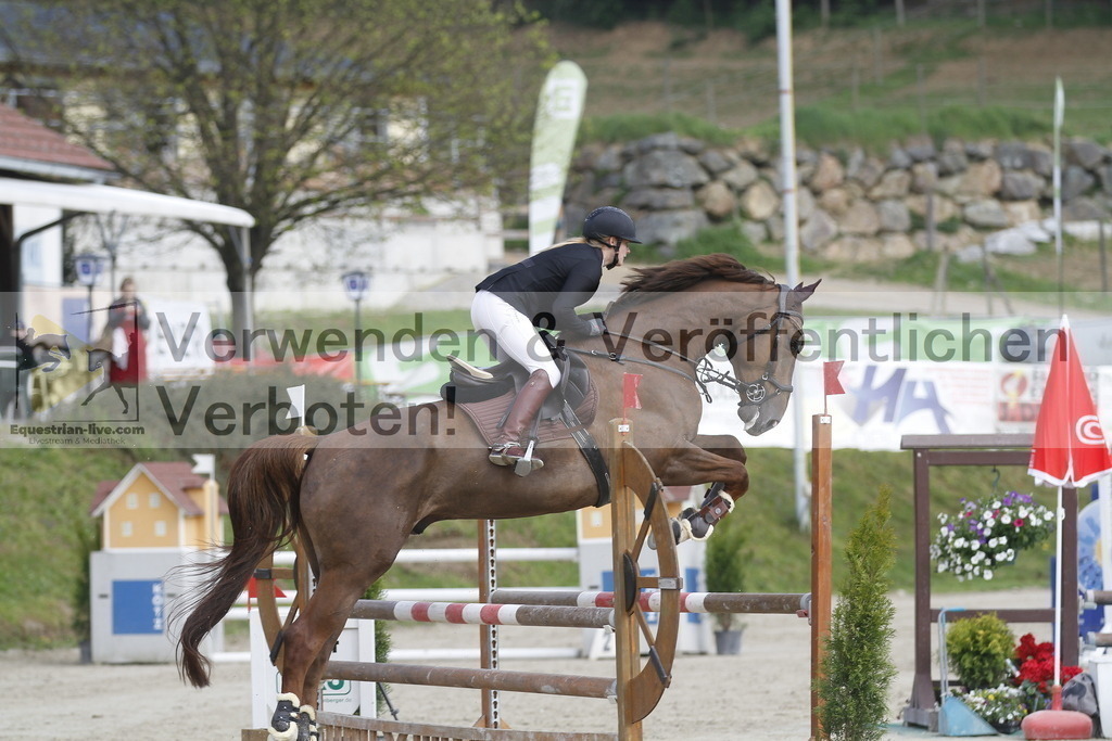 _MG_9137 | equestrian-live-com