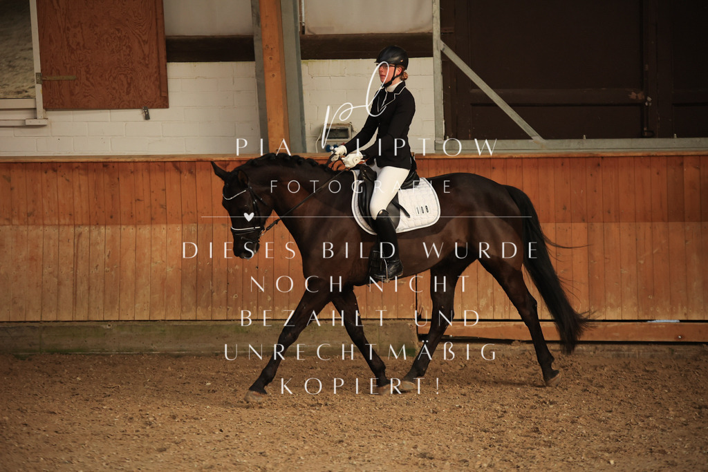 IMGT3612 | pl-fotografie