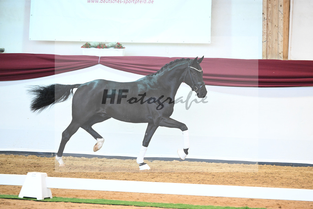 Kat-Nr. 51 v. Toto jr._Winklmaier_66220906 | hf-fotografie - Realisiert mit Pictrs.com
