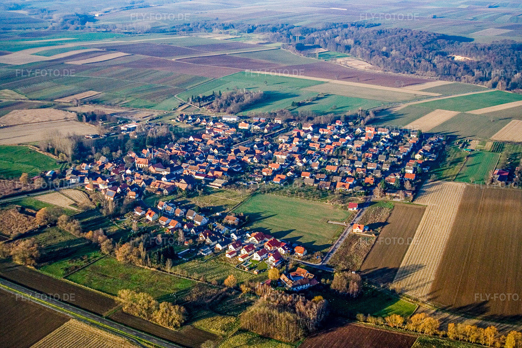 Luftbild: Dorfansicht von Südosten in Barbelroth im Bundesland Rheinland-Pfalz in Deutschland. Foto: IMG_14792.jpg vom 30.11.2008 durch Werner Riehm/FLY-FOTO.de