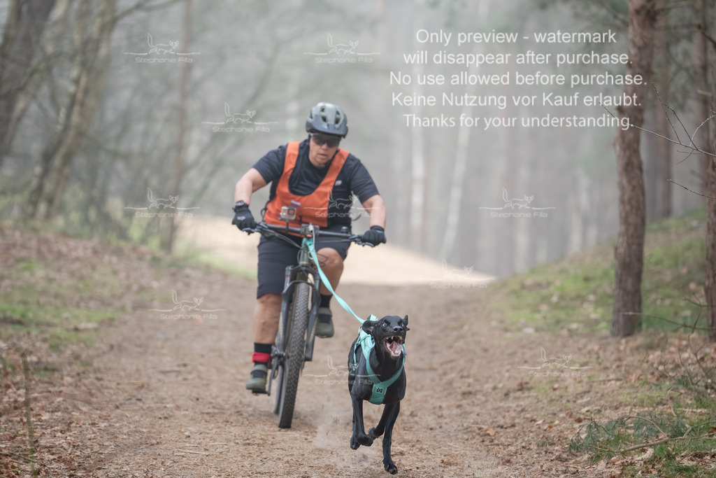 Bike1-95 | stephaniefillaphotographie - Realisiert mit Pictrs.com