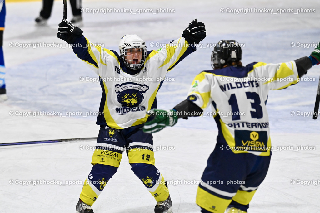 LADY HAWKS vs. WILDCATS PATERNION | Jubel #19 Knes Julia WILDCATS PATERNION, #13 Stromberger Nicole WILDCATS PATERNION, LADY HAWKS vs. WILDCATS PATERNION, LADY HAWKS vs. WILDCATS PATERNION am 12.03.2025 in Steindorf (Ossiachersee Halle), Austria, (Photo by Bernd Stefan)
