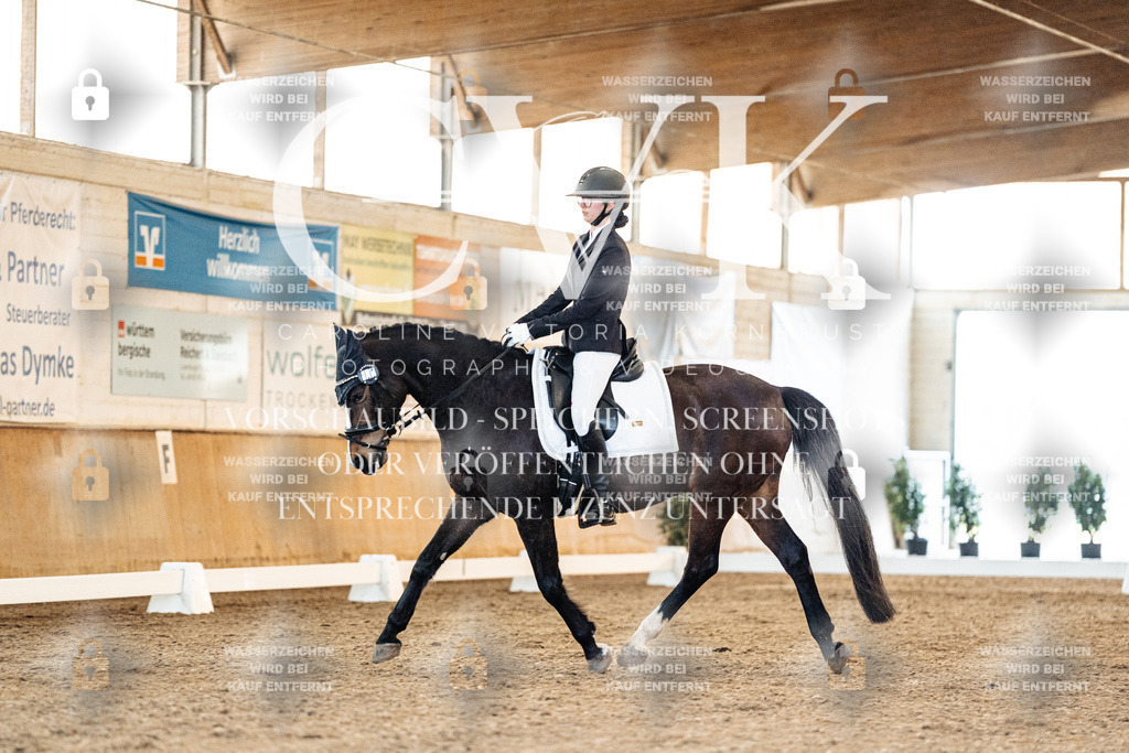 CK907006 | Turnierfotografie Pferdefotografie Trier Rheinland-Pfalz Pferdesport Reitsport Tierfotografie Sportfotografie Pferdevideo Pferdevideografie Equestrianvideography equestrianphotography  - Realisiert mit Pictrs.com