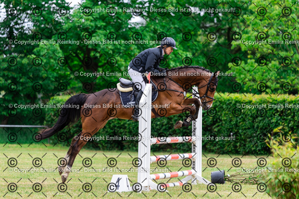 CL5A5564 | Emilia Reinking Fotografie - Realisiert mit Pictrs.com