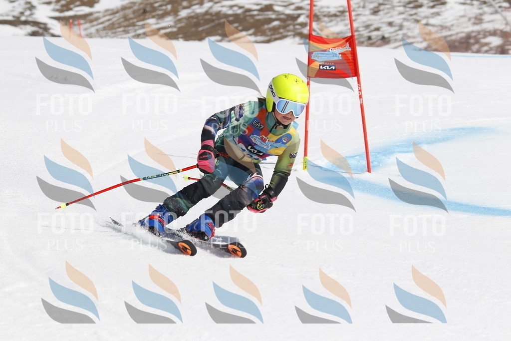 _U3G0880 | holidayphoto