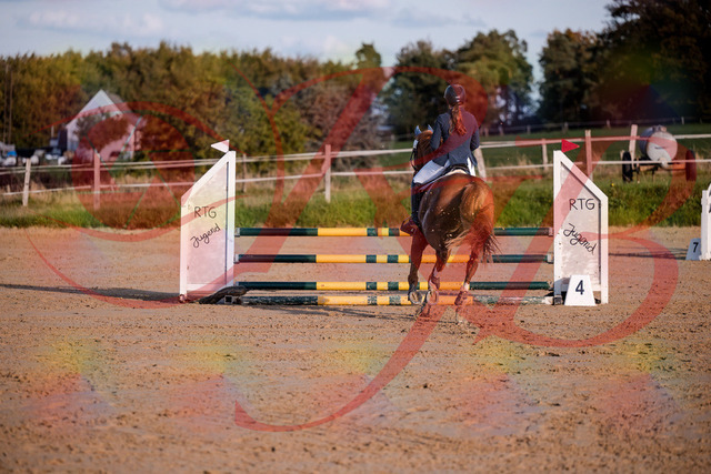2026_10_03_Siefer-Hof_171216_Z81_09348073 | Professionelle Reitsport-, Turnier- und Eventfotografie von Robert Broda. Galerien mit ausgewählten und bearbeiteten Bildern direkt online ansehen und bestellen.
