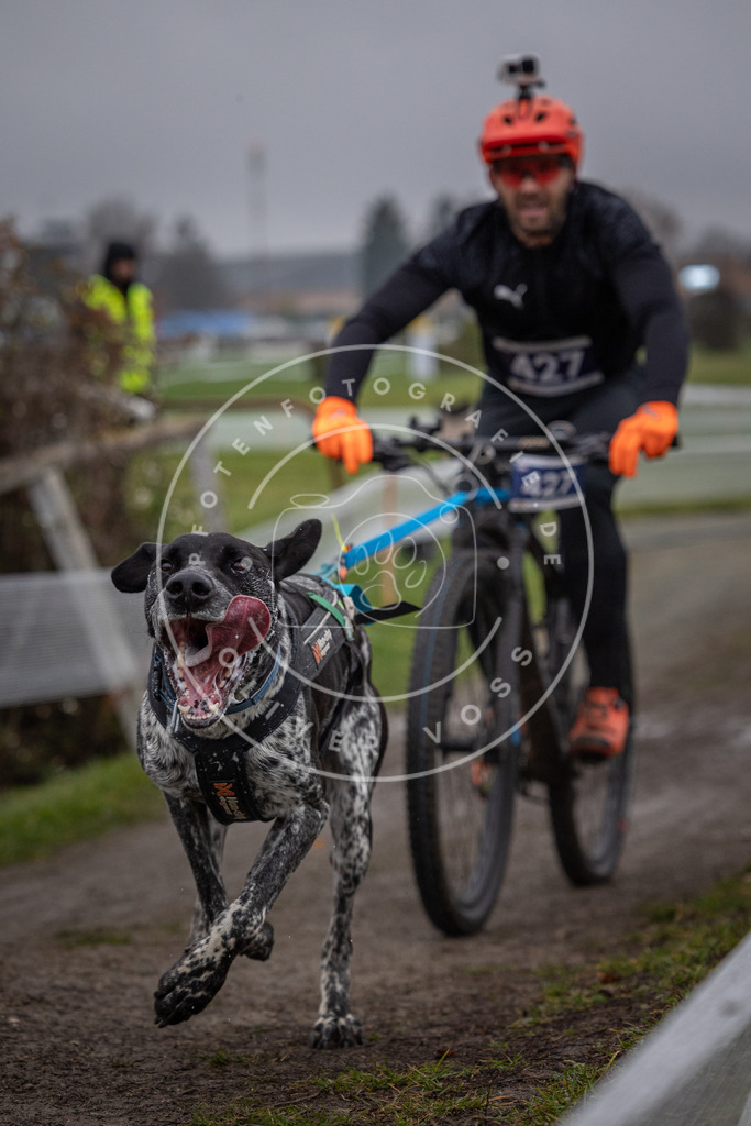 CaniXpix_0L8A1654 | Hundefotografie, Tierfotograf, Pfotenfotografie, Fotoshooting Hund, Hunde Portrait, Hundesport, Hundeportraits, Heideshooting, Hunde, Sportfotograf, Hundefotograf, Turnierhundsport, THS,  - Realisiert mit Pictrs.com