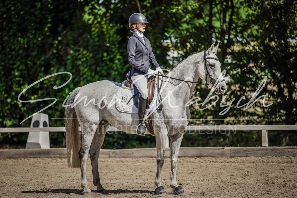 20250906-_3LI4565 | Tierfotografie Pferde, Hunde, Katzen, Haustiere.
Turnierfotografie Reitturniere, Reiten, Springreiten, Dressur in Hanau, dem Main-Kinzig-Kreis und dem Rhein-Main- Gebiet um Frankfurt